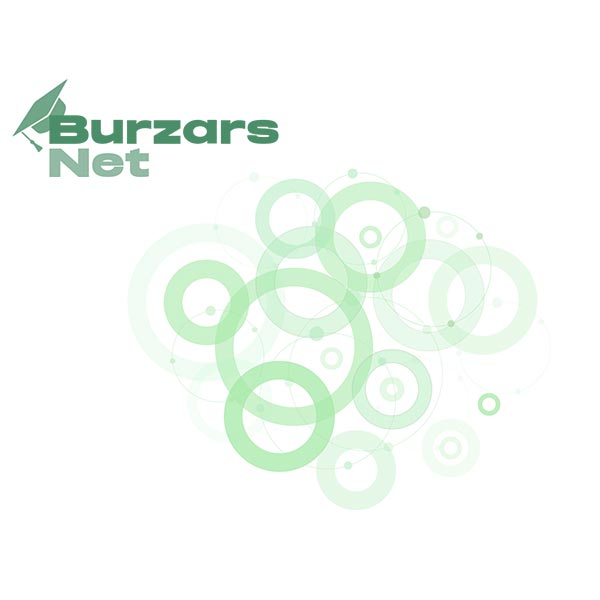 Momentum Group Bursary image